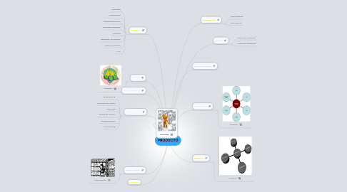 Mind Map: PRODUCTO