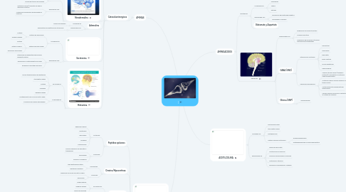 Mind Map: |