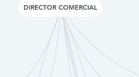 Mind Map: DIRECTOR COMERCIAL