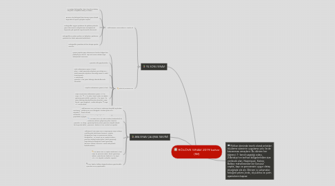 Mind Map: RÖLÖVE SINAV 2019 bahar (IM)