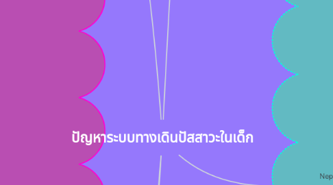 Mind Map: ปัญหาระบบทางเดินปัสสาวะในเด็ก