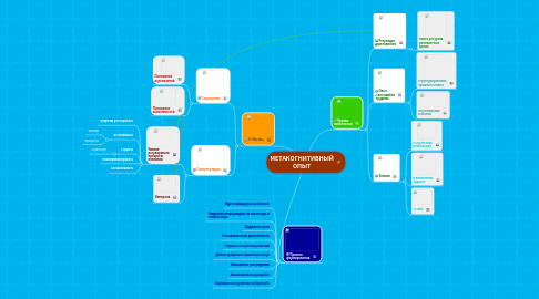 Mind Map: МЕТАКОГНИТИВНЫЙ ОПЫТ