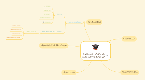 Mind Map: BIOSÍNTESIS DE MACROMOLÉCULAS