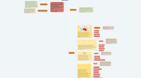 Mind Map: Las Neuronas