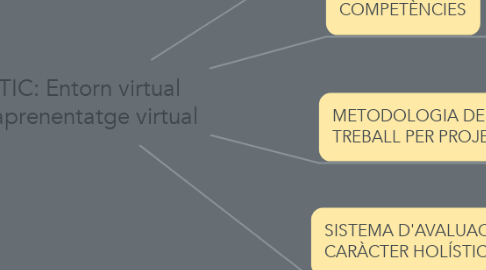 Mind Map: CTIC: Entorn virtual  d'aprenentatge virtual