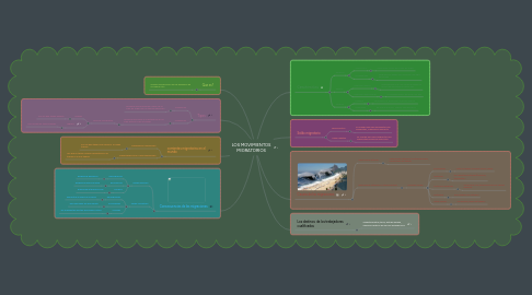 Mind Map: LOS MOVIMIENTOS MIGRATORIOS