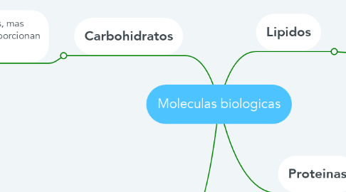 Mind Map: Moleculas biologicas