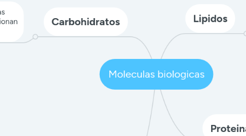 Mind Map: Moleculas biologicas