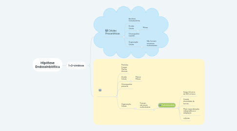 Mind Map: Hipótese Endossinbiótica
