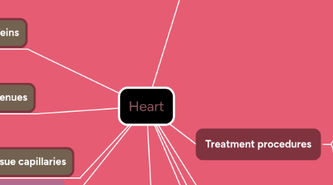 Mind Map: Heart