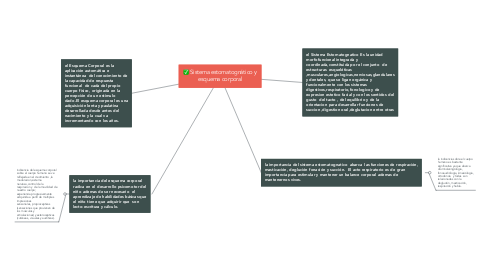 Mind Map: Sistema estomatognático y esquema corporal