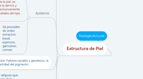 Mind Map: fisiología de la piel