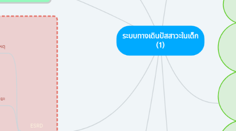 Mind Map: ระบบทางเดินปัสสาวะในเด็ก (1)