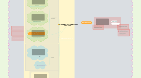 Mind Map: ÓRGANOS DEL CEREBRO EN LA MOTIVACIÓN