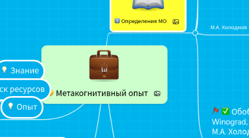 Mind Map: Метакогнитивный опыт