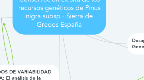 Mind Map: Conservación ex situ de los recursos genéticos de Pinus nigra subsp - Sierra de Gredos España