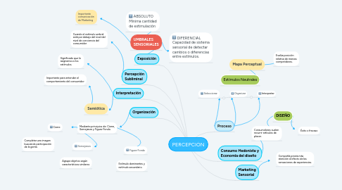 Mind Map: PERCEPCIÓN