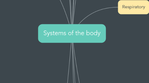 Mind Map: Systems of the body