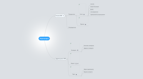 Mind Map: Медиапродукт