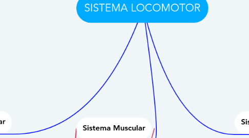 Mind Map: SISTEMA LOCOMOTOR