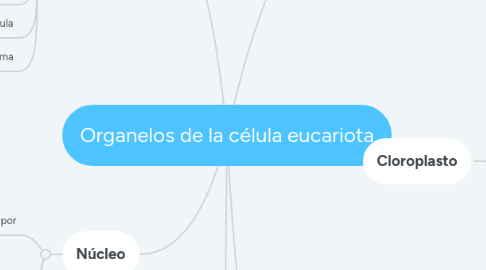 Mind Map: Organelos de la célula eucariota