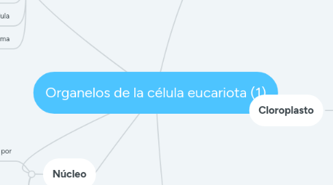 Mind Map: Organelos de la célula eucariota (1)