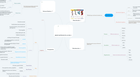 Mind Map: BASES QUÍMICAS DE LA VIDA