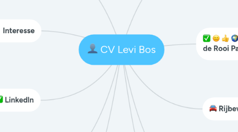 Mind Map: CV Levi Bos