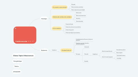 Mind Map: Cardiovascular