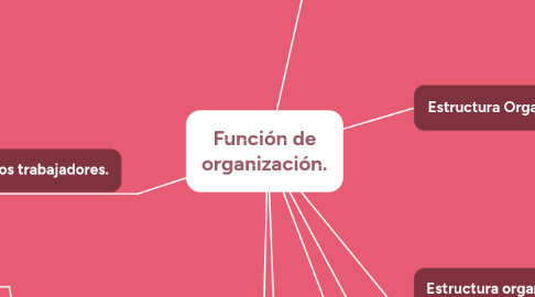 Mind Map: Función de organización.