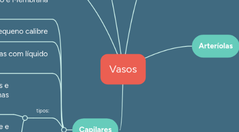 Mind Map: Vasos