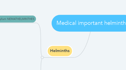 Mind Map: Medical important helminths