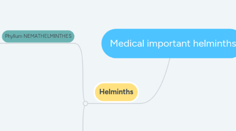 Mind Map: Medical important helminths