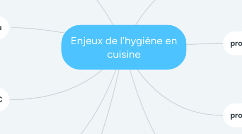 Mind Map: Enjeux de l'hygiène en cuisine