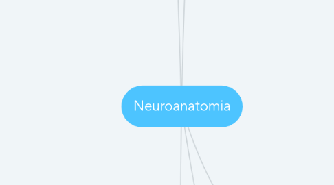 Mind Map: Neuroanatomia