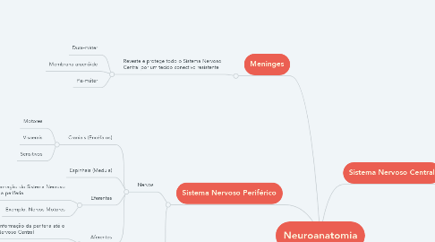 Mind Map: Neuroanatomia