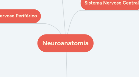 Mind Map: Neuroanatomia