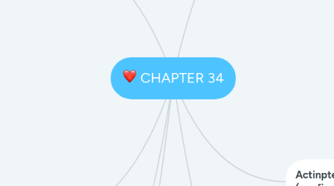 Mind Map: CHAPTER 34