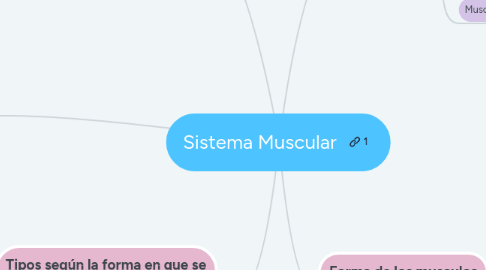 Mind Map: Sistema Muscular