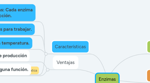 Mind Map: Enzimas