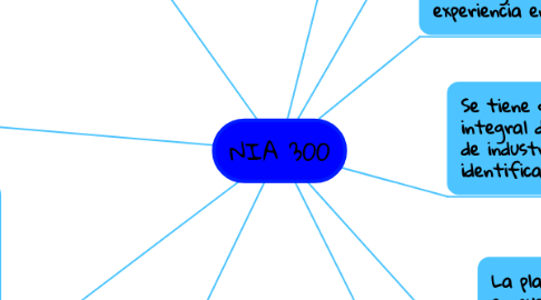 Mind Map: NIA 300