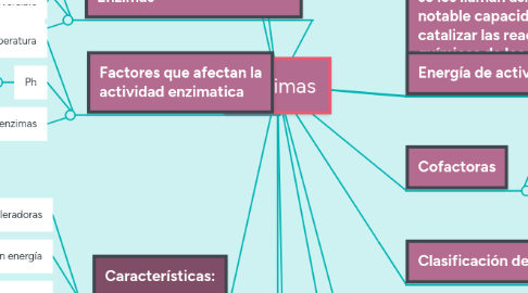 Mind Map: Enzimas