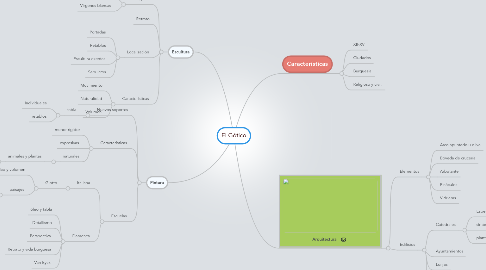 Mind Map: El Gótico