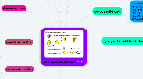 Mind Map: La Clonacion Celular