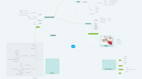 Mind Map: Soin