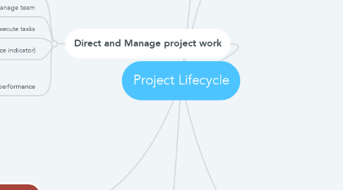 Mind Map: Project Lifecycle