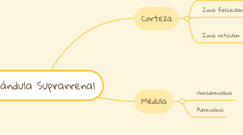 Mind Map: Glándula Suprarrenal