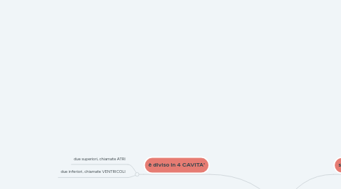 Mind Map: CUORE