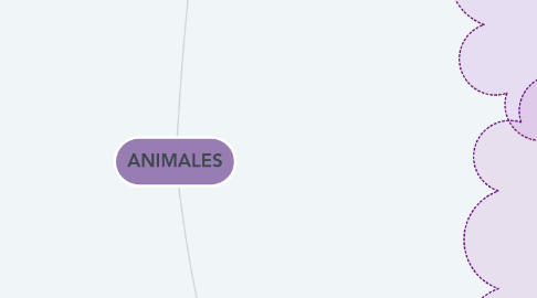 Mind Map: ANIMALES