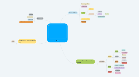 Mind Map: s